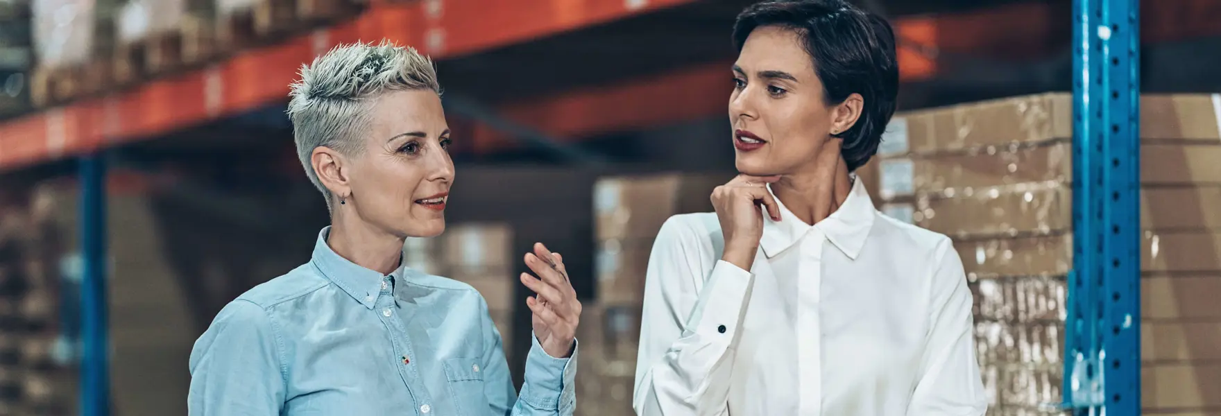 Assistenza Da Parte Di Export Manager